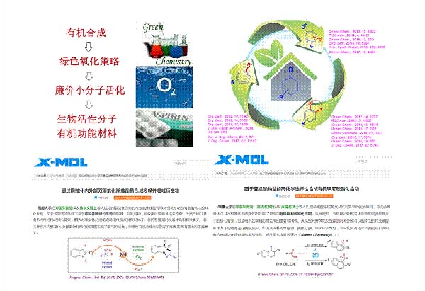 2025老澳门原料网大全