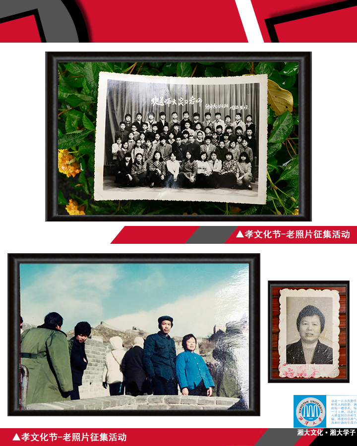 2025老澳门原料网大全
