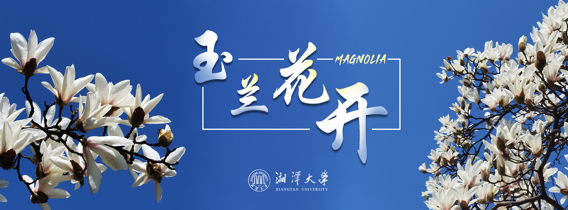 2025老澳门原料网大全
