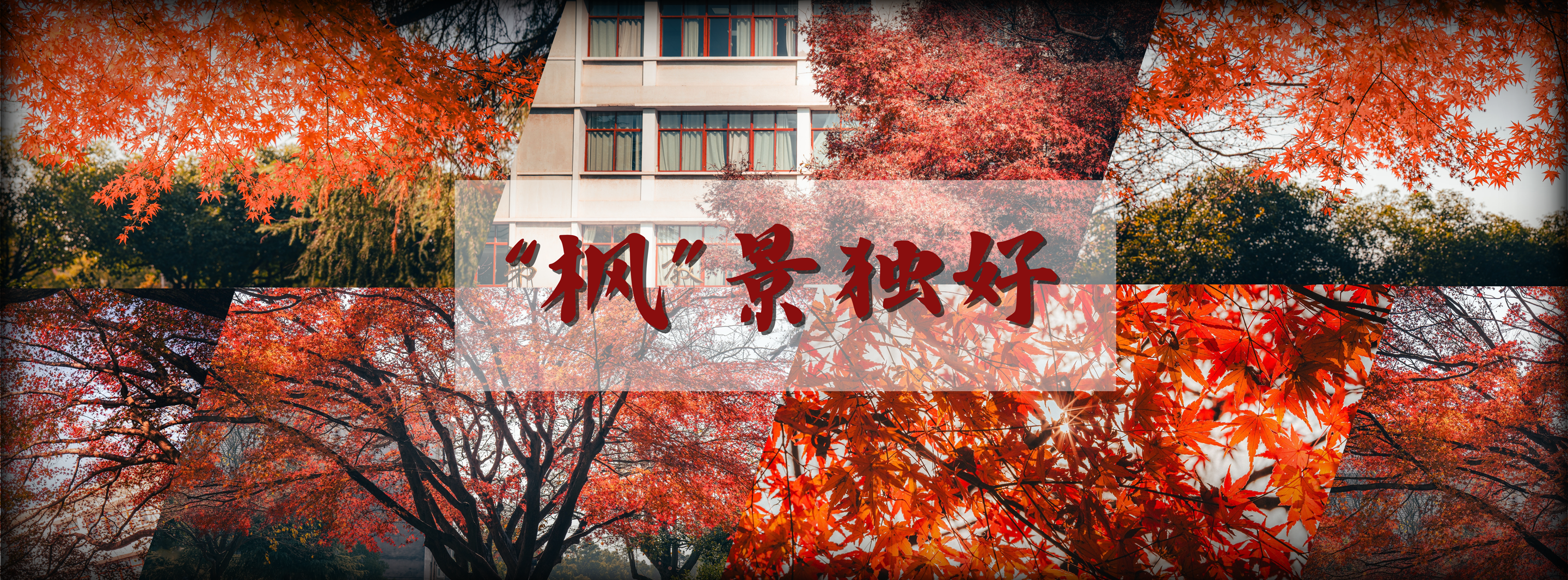 2025老澳门原料网大全