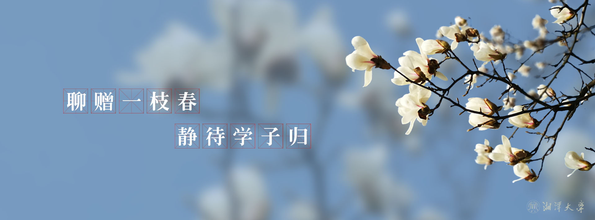 2025老澳门原料网大全